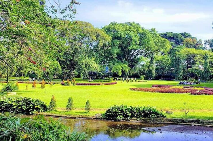 From Jakarta: Botanical Garden, Waterfall, Wayang Puppet - Key Points