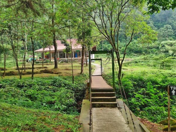 From Jakarta: Botanical Garden, Waterfall, Wayang Puppet - Inclusions and Amenities