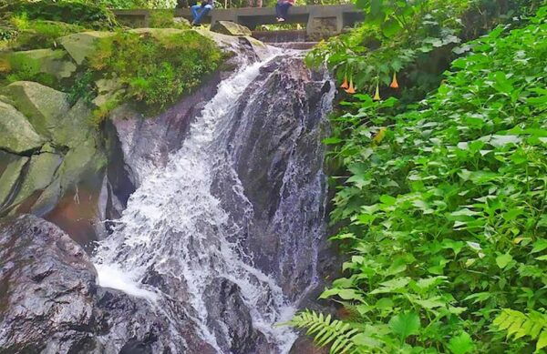 From Jakarta: Botanical Garden, Waterfall, Wayang Puppet - Booking Information and Policies