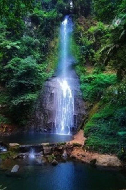 From Jakarta: Explore Safari Park,Waterfall & Tea Plantation - Safari Park Experience