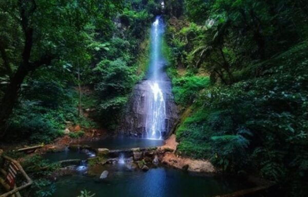 From Jakarta: Explore Safari Park,Waterfall & Tea Plantation - Visiting Curug Jaksa Waterfall