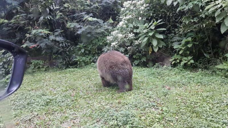 From Jakarta: Private Taman Safari Day Tour - Unpacking the Private Taman Safari Day Tour from Jakarta