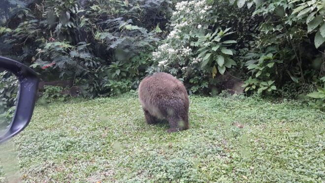 From Jakarta Private Taman Safari Day Tour - Inclusions and Amenities