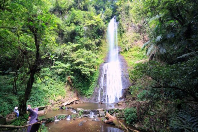 From Jakarta: Safari Park, Tea Plantation & Jaksa Waterfall - Wildlife Park Experience: Attractions & Animal Interactions