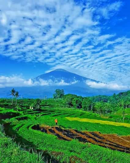 From Jakarta : Wonderful 3 Days With Tour Guide Italia - Day 2 Itinerary: Bogor