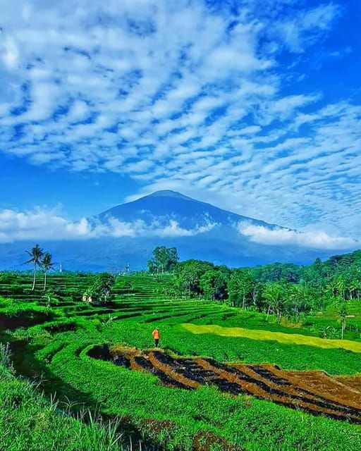 From Jakarta : Wonderful 3 Days With Tour Guide Italia - Day 3 Itinerary: Bandung