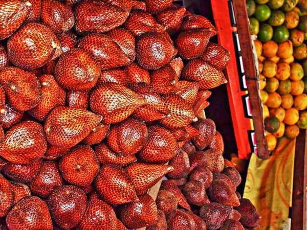 From Jakarta : Wonderful Jakarta In 2 Days Private Tour - What to Bring and Prepare