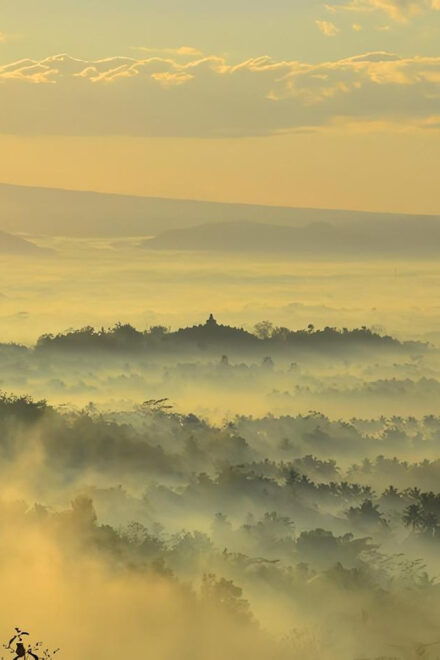From Jakarta : Yogyakarta to Bali Tour - Travel and Transportation