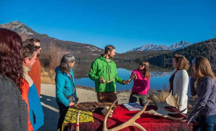 From Jasper: Jasper National Park Wildlife Discovery Tour - Tour Details