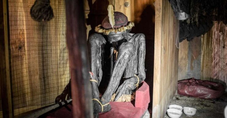 From Jayapura : Dance War , Primitive Village , Pig Fest - Key Points