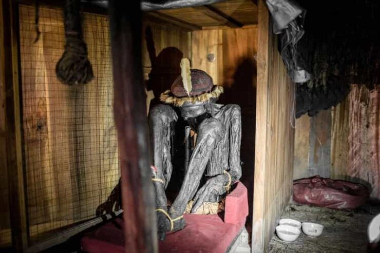 From Jayapura : Dance War , Primitive Village , Pig Fest - Highlights of Baliem Valley