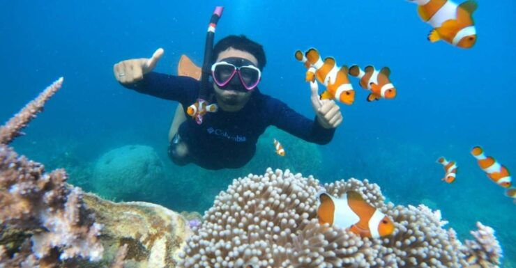 From Jepara: Karimunjawa Archipelago 3-Day Snorkeling Tour - Booking Details