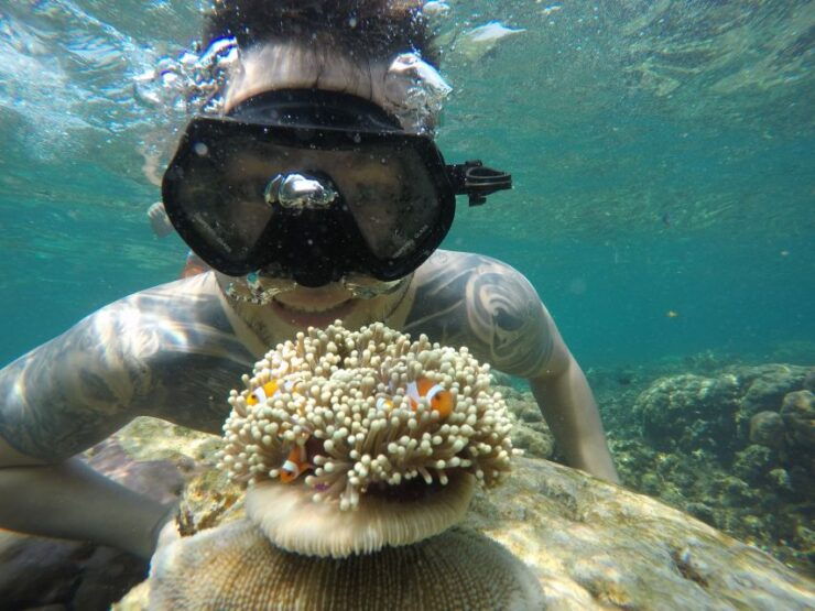 From Jepara: Karimunjawa Archipelago 3-Day Snorkeling Tour - Experience Details