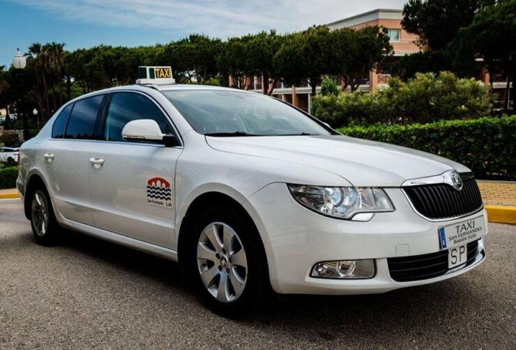 From Jerez Airport: Transfer to Novo Sancti Petri - Driver Services and Language Options