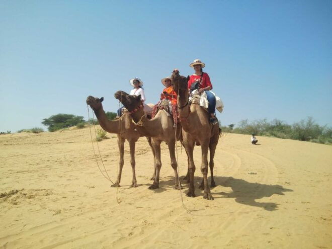 From Jodhpur: Guided Day Trip to Osian With Camel Safari - Experience Description