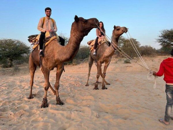 From Jodhpur : Overnight Stay In Desert - The Sum Up