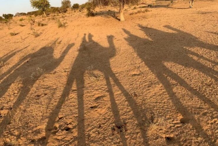 From Jodhpur: Overnight Stay in Desert With Camel Safari - Transportation and Value for Money