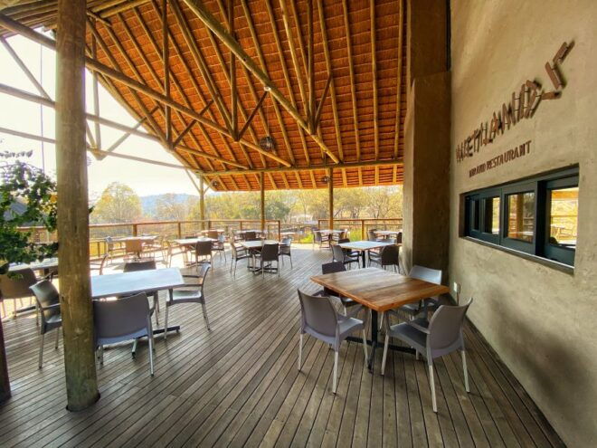 From Johannesburg: Lion & Safari Park Half-Day Tour - Important Information
