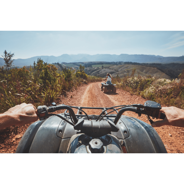 From Johannesburg: North West Safari and Quad Biking Tour - Analyzing the Value