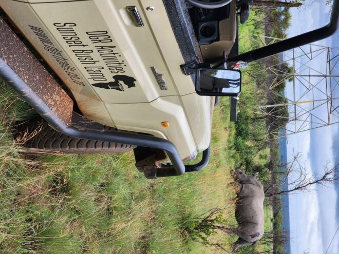 From Johannesburg or Pretoria: Dinokeng Guided Safari Tour - Experience Description