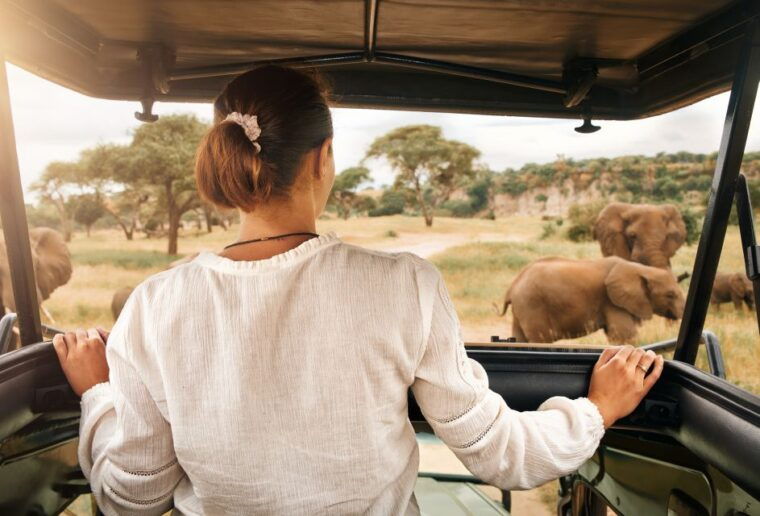From Johannesburg: Pilanesberg Wildlife Safari - Why It’s Good Value