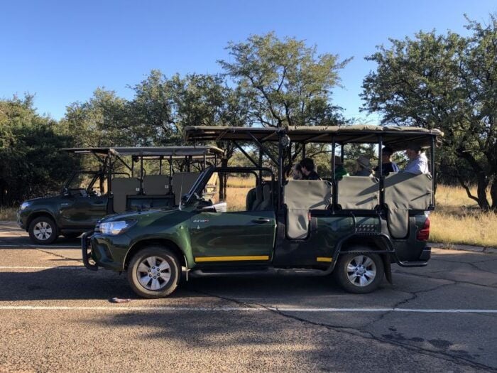 From Johannesburg: Pilanesberg Wildlife Safari - Final Thoughts: Is This Safari Right for You?