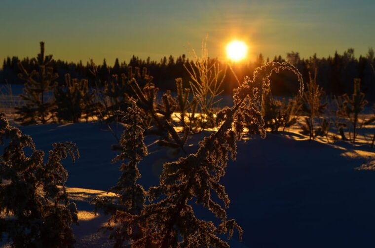 From Jokkmokk: The Great Rapids National Park - The Sum Up