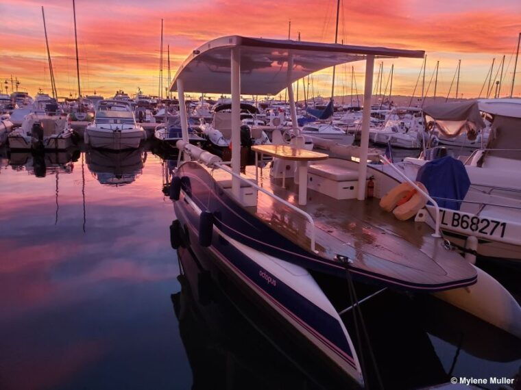 From Juan Les Pins: Private French Riviera Solar Boat Cruise - Highlights of the Experience