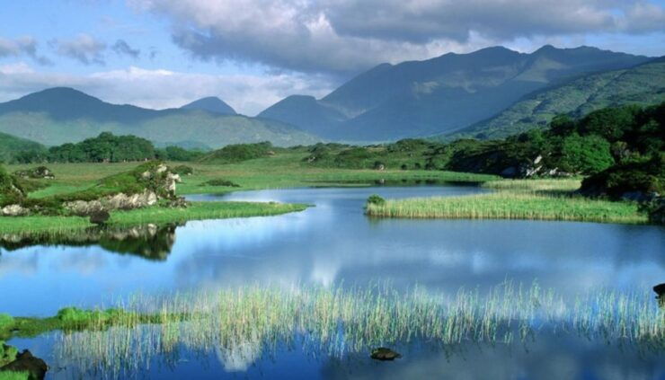 From Jujuy: Yala and Termas De Reyes Half-Day Tour - Experience Highlights