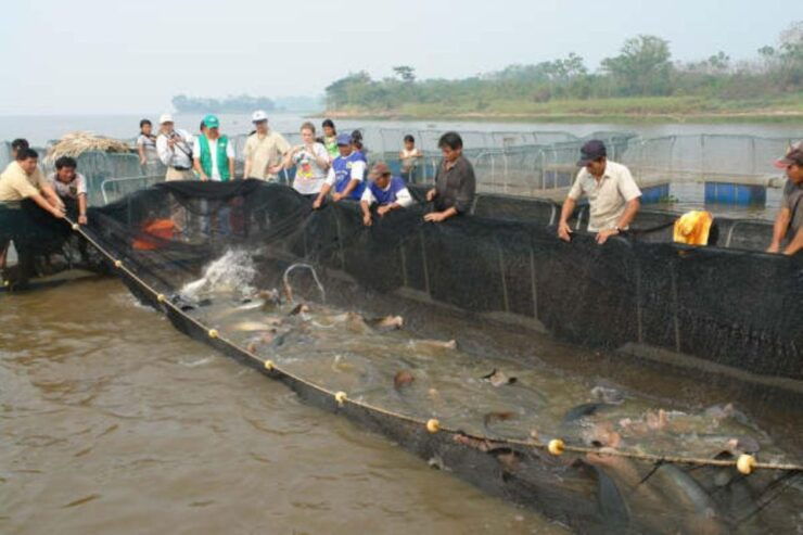 From Junín: San Andrés Full-Day Tour - Tour Overview