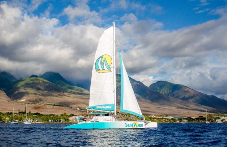 From Kaanapali: Afternoon West Maui Snorkeling & Sea Turtles - Snorkeling Highlights