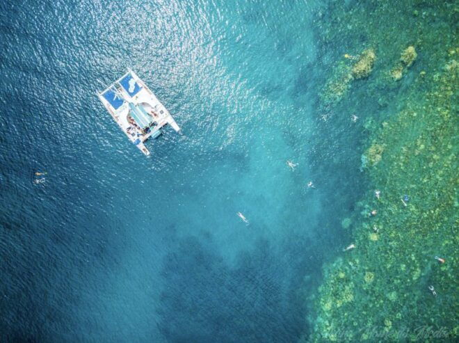 From Kaanapali: Afternoon West Maui Snorkeling & Sea Turtles - Customer Reviews