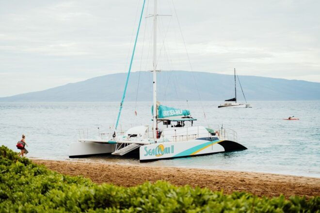 From Kaanapali: Afternoon West Maui Snorkeling & Sea Turtles - Additional Suggestions