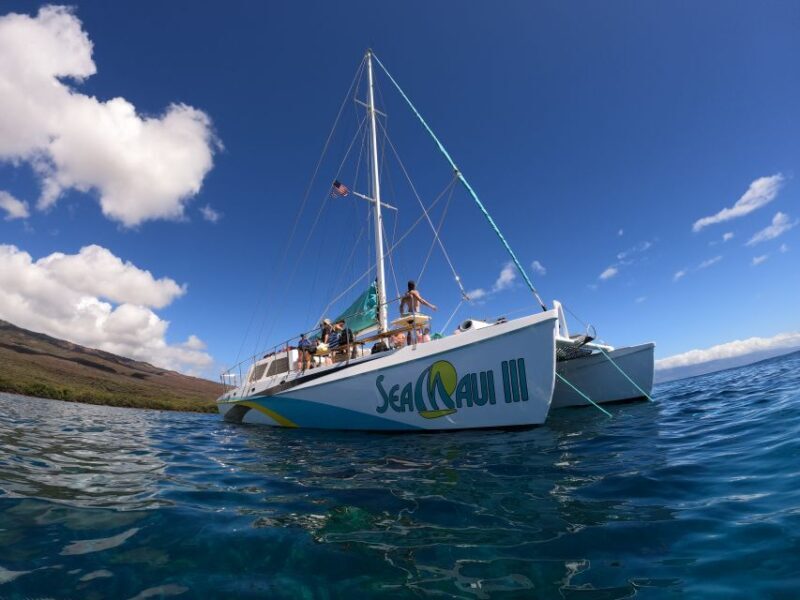 From Ka'anapali: West Maui Half-Day Snorkel Tour w/ Food - Overview of the Experience
