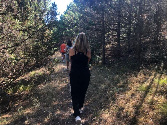 From Kalamata: Day Trip With Wine & Food Tasting in Arcadia - Inclusions