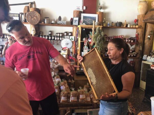 From Kalamata: Day Trip With Wine & Food Tasting in Arcadia - The Sum Up