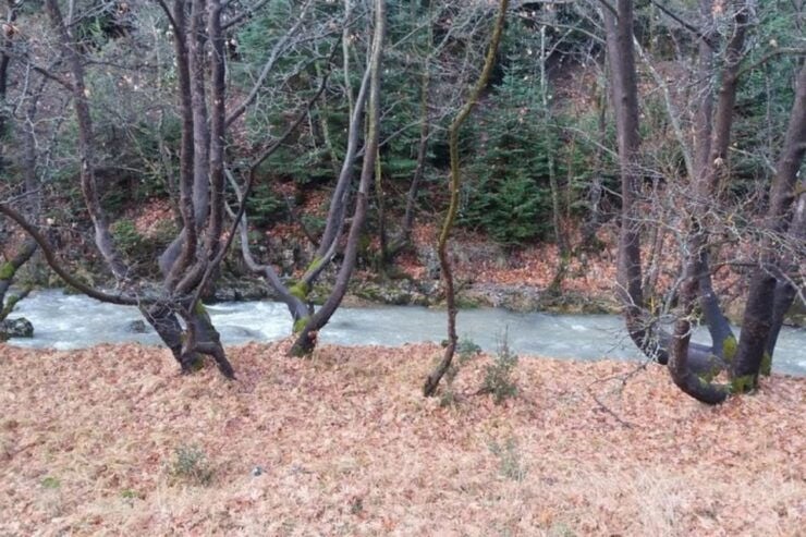 From Kalamata: Menalon Trail Hike With Mountain Guide - Good To Know