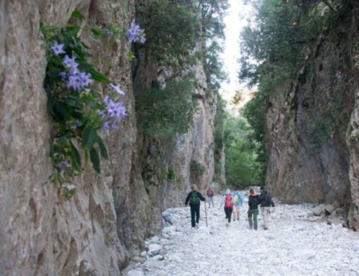 From Kalamata: Ridomo Gorge Hiking Tour With Greek Coffee - Experience Highlights and Inclusions