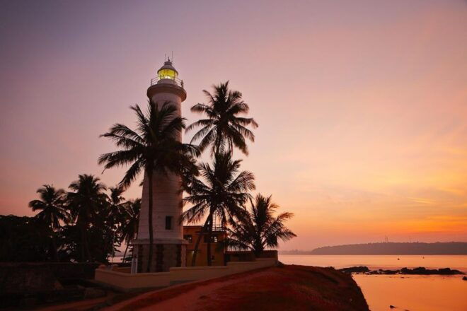 From Kalutara: Handungoda, Galle, and Kosgoda - Kosgoda Turtle Hatchery: Learn About Turtle Species and Interact With Baby Turtles
