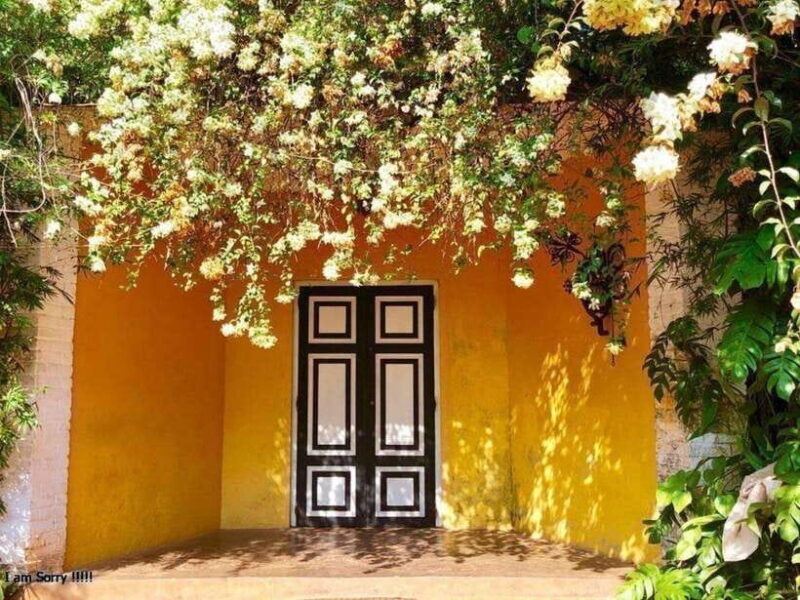 From Kalutara/Waskaduwa: Lunuganga & Brief Garden Tour - Who Should Book This Tour?