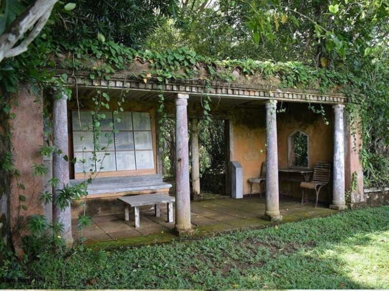 From Kalutara/Waskaduwa: Lunuganga & Brief Garden Tour - How the Experience Feels