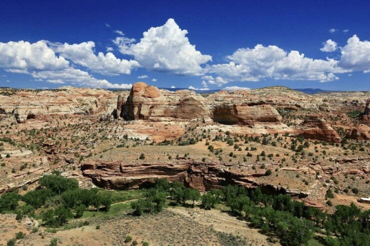 From Kanab: Grand Staircase-Escalante Drive & Hike Tour - Experience Highlights