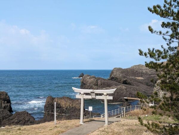 From Kanazawa: Fukuis Stunning Cliffs, Island, and Port - Additional Notes