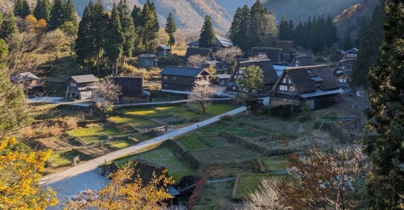 From Kanazawa: Shirakawa-go, Gokayama and Wood Carving art - A Day in the Life of a Heritage and Craft Tour from Kanazawa