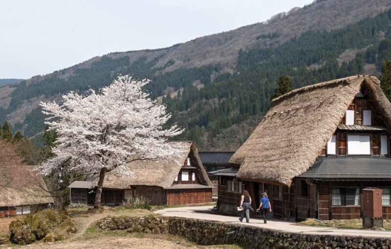From Kanazawa: Shirakawa-go, Gokayama and Wood Carving art - FAQs