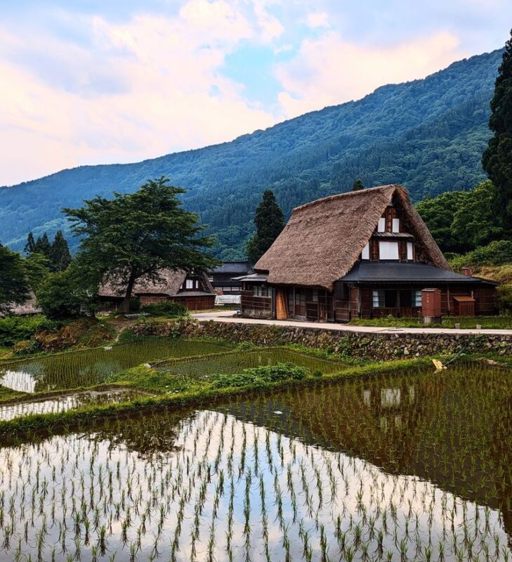 From Kanazawa: Shirakawa-go, Gokayama and Wood Carving Village - Who should book this tour?