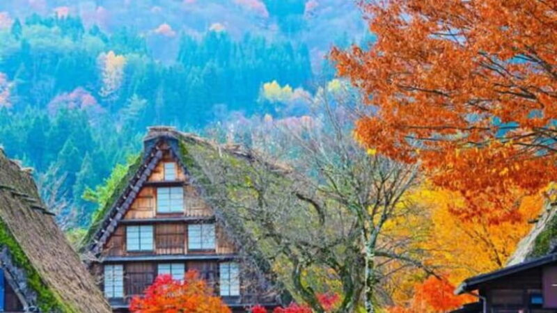 From Kanazawa/Takayama :Day Tour To Shirakawago & Takayama - An In-Depth Look at the Tour Experience