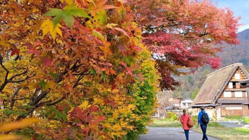 From Kanazawa/Takayama :Day Tour To Shirakawago & Takayama - Good To Know