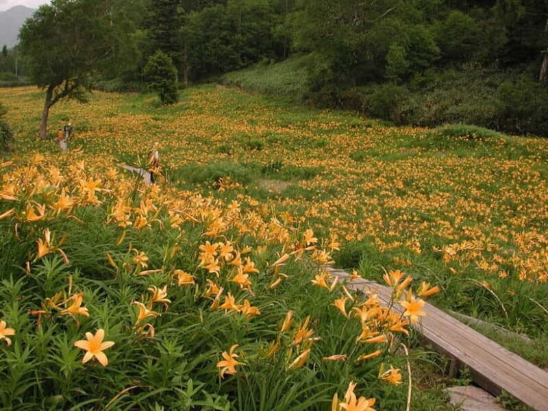 From Kanazawa: Tateyama Mountain Tour with Waterfall & Hike - Good To Know