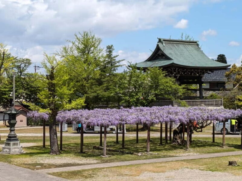 From Kanazawa: Tonami Tulip Festival and UNESCO Gokayama - Who Is This Tour Best For?